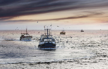 Several fishing boats on the open ocean with seagulls flying with grey skies