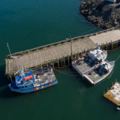 Boats on a wharf