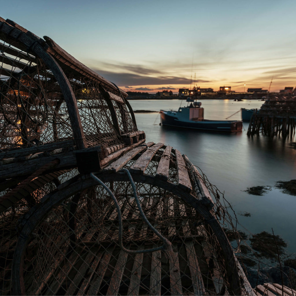 A small pile of lobster traps on a rocky coastline overlooking a harbour at sunrise