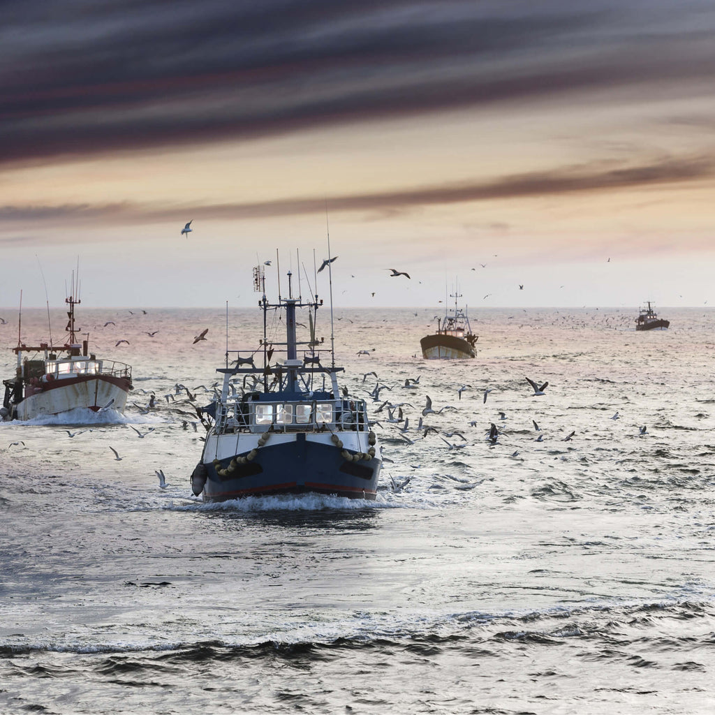 Several fishing boats on the open ocean with seagulls flying with grey skies