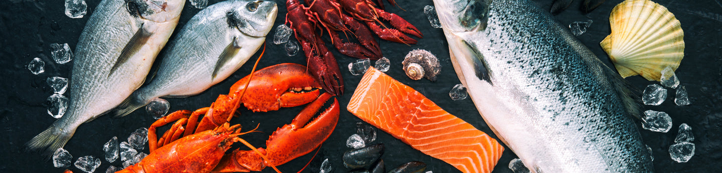 An impressive variety of fish and seafood displayed on a bed of ice