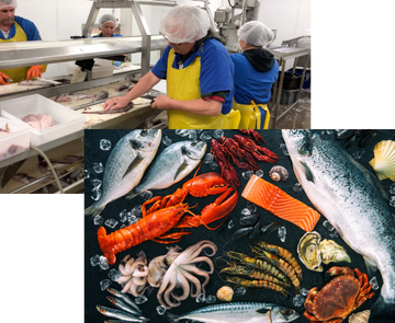 Fisherman's Market  Halifax Fish Market - Order Fresh Seafood Online