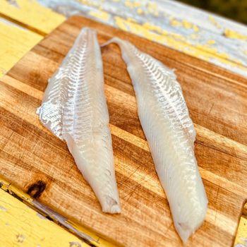 Atlantic Haddock Fillets