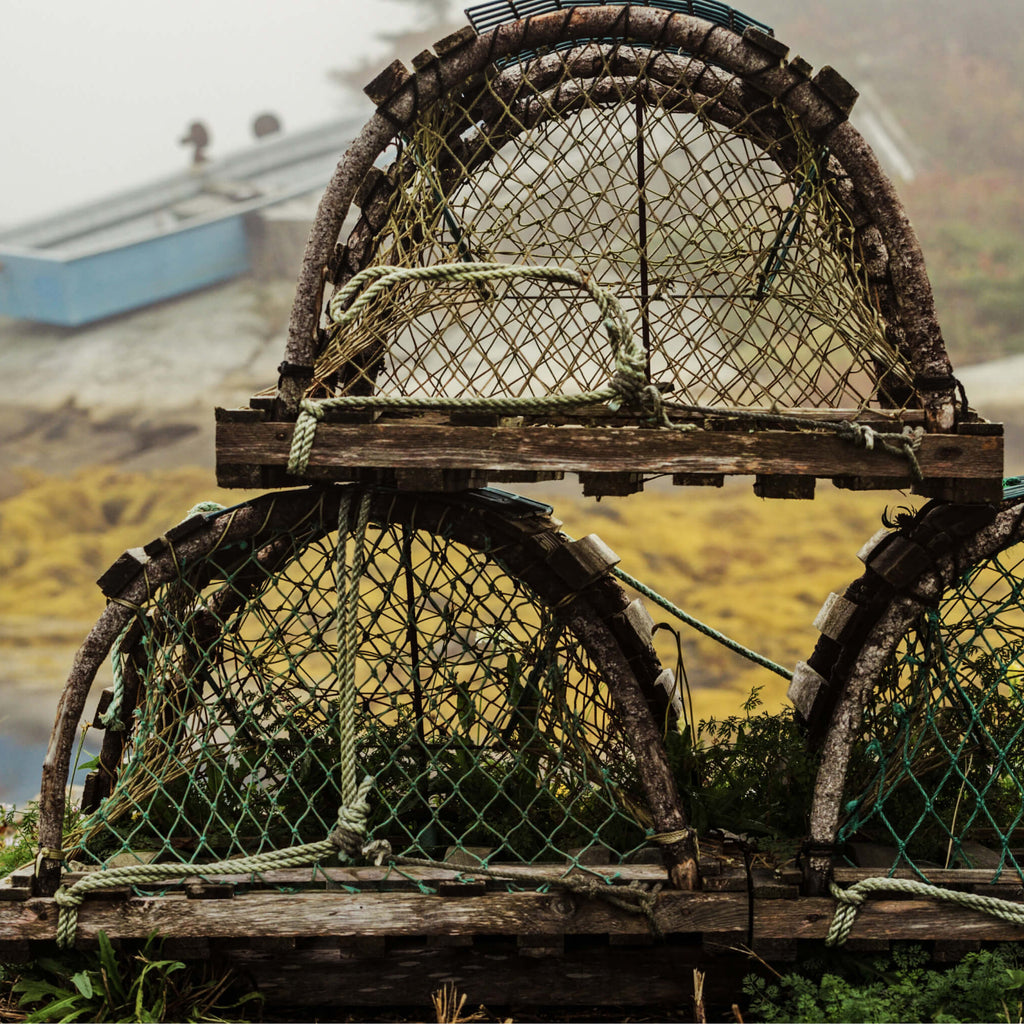 A small pile of lobster traps laying on a bed of grass