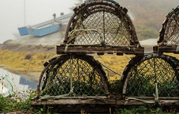 A small pile of lobster traps laying on a bed of grass