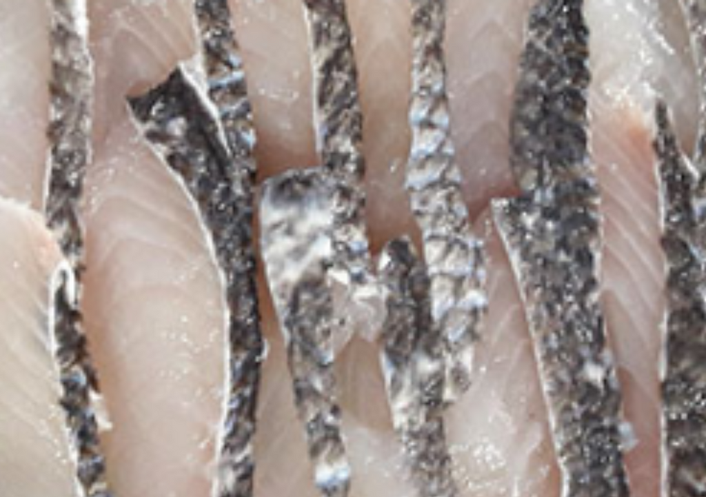 Frozen Snakehead Fish Fillets