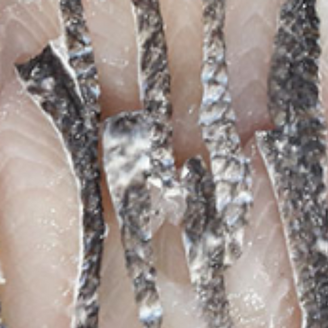 Frozen Snakehead Fish Fillets