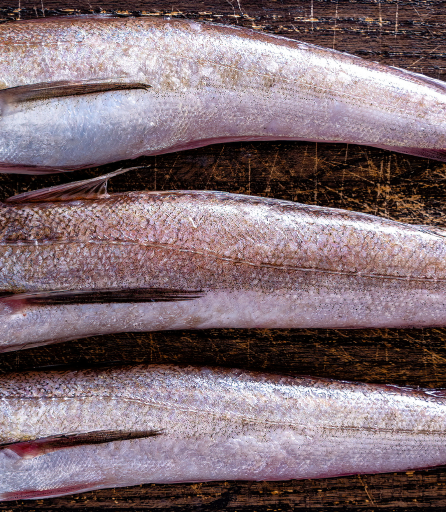 Frozen Dressed Silver Hake