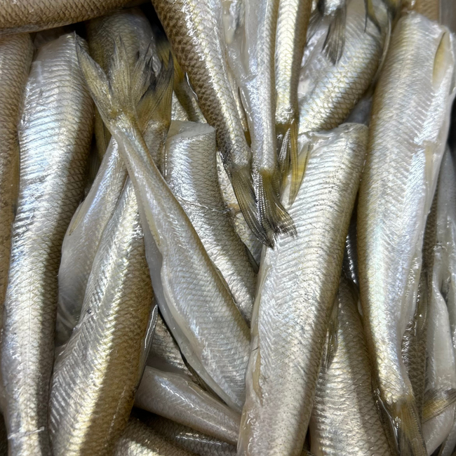 Frozen Dressed Smelts