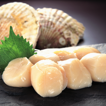 Atlantic Sea Scallops