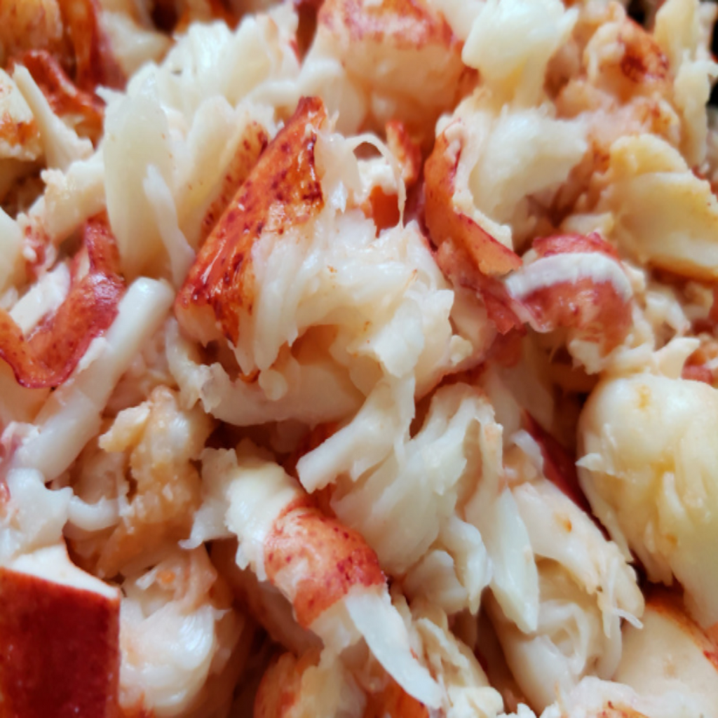 Fresh Atlantic Lobster Meat
