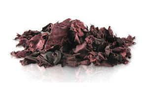 Seaside Nova Dried Dulse