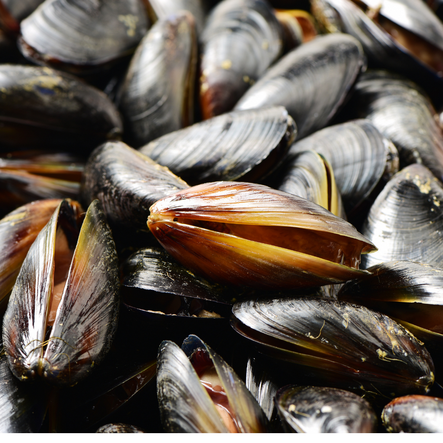 Atlantic PEI Mussels