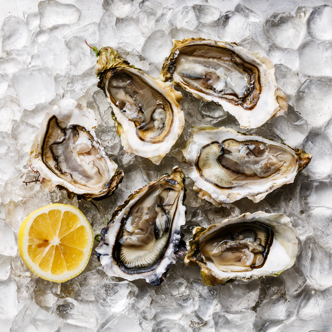 Breton Oysters